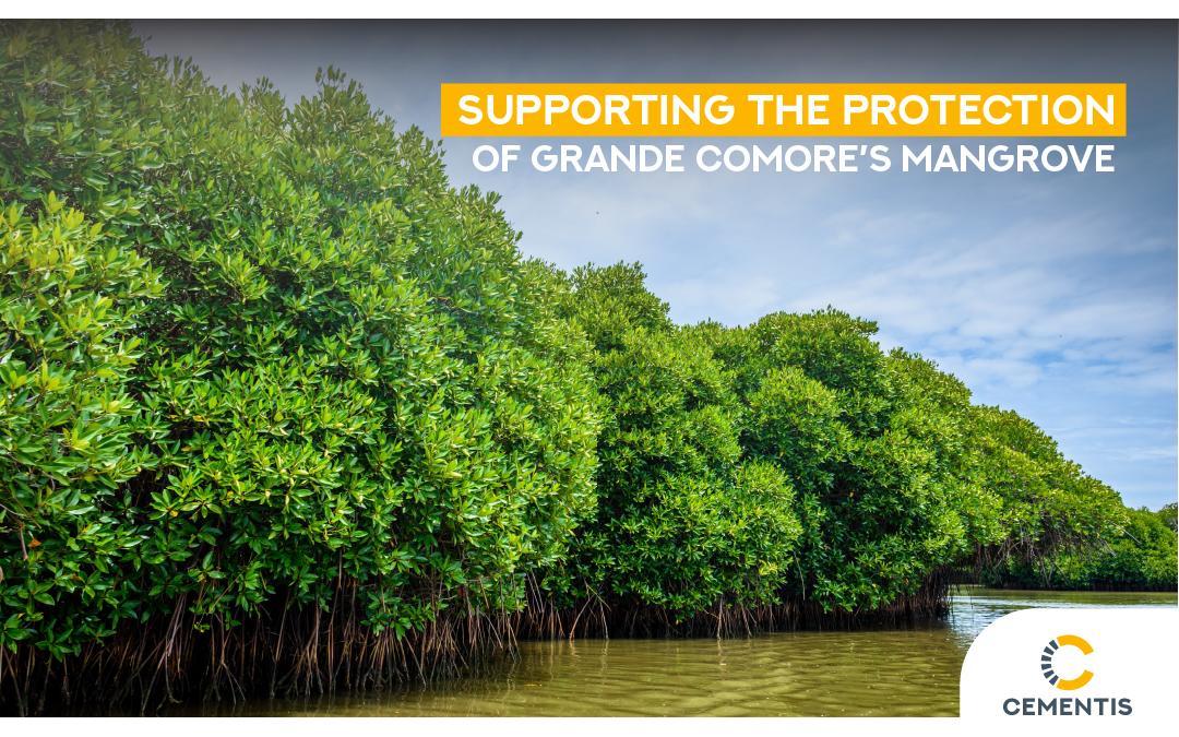 Cementis Comores: Supporting the Protection of Grande Comore’s Mangroves